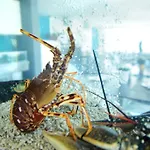 ホテル マール ブラヴォ
