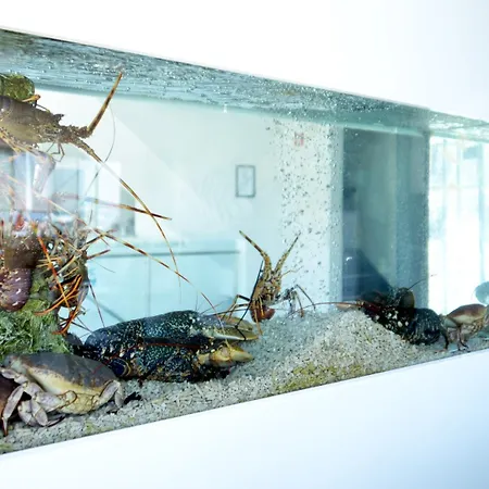 Mar Bravo Отель Назаре