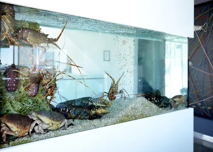 Mar Bravo Hotel Nazaré